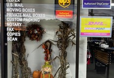 Fall Window Dressing